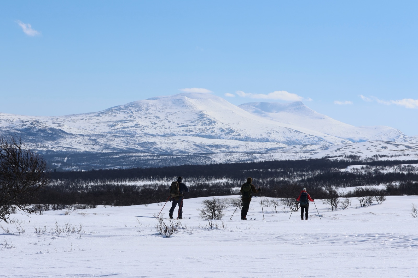 Vinterlandskap fra norske fjell med langrennsløpere